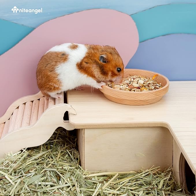 Niteangel Wooden Hamster Feeding Bowl: - Small Animal Food Dish for Dwarf Syrian Hamsters Gerbils Mice Degus or Other Similar-Sized Small Pets (No Pattern, for Syrian)