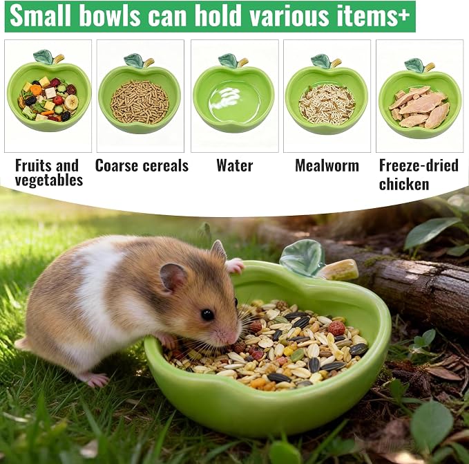 Small Ceramic Guinea Pig Food Bowl Cute Hamsters Food and Water Bowl Ferret Rat Chinchilla Rabbit Feeding Dish Young Animal Feeder (Green)