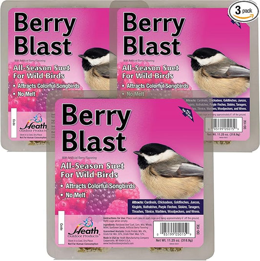 Heath Outdoor Products Berry Blast Suet Cakes Sample Pack, Contains 3 Suet Cakes, Try It, Your Birds Will Love it, for Woodpeckers, Cardinals, Siskins, Sparrows, Finchs & Many More Wild Bird Species