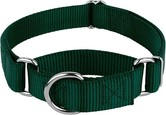 Country Brook Petz - Martingale Dog Collar - Heavy-Duty Training Collar with No Buckle - Service Dog Collar for All Pups - 20 Vibrant Colors (Green, 1 Inch, Extra Large)
