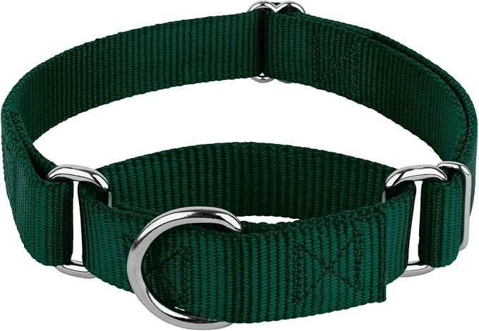 Country Brook Petz - Martingale Dog Collar - Heavy-Duty Training Collar with No Buckle - Service Dog Collar for All Pups - 20 Vibrant Colors (Green, 3/8 Inch, 2XS)