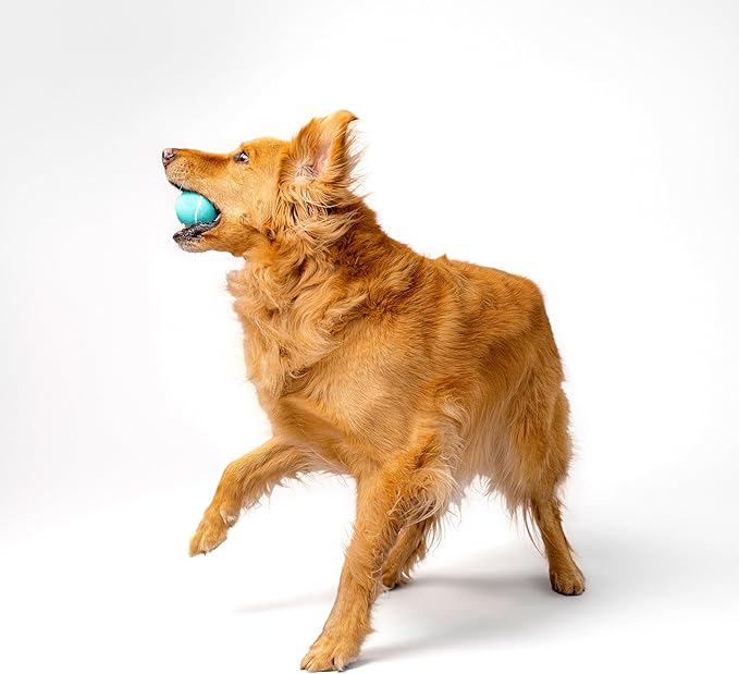 Playology Dog Toys | Squeaky Chew Ball for Dogs | Peanut Butter Scented Medium Dog Ball | Bouncy Floating Chew Toys for Fetch