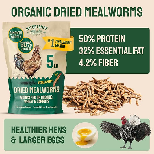 Hatortempt Dried Mealworms - Non-GMO & Organic - High-Protein Mealworms for Wild Bird Food, Ducks & Chickens (5lb)