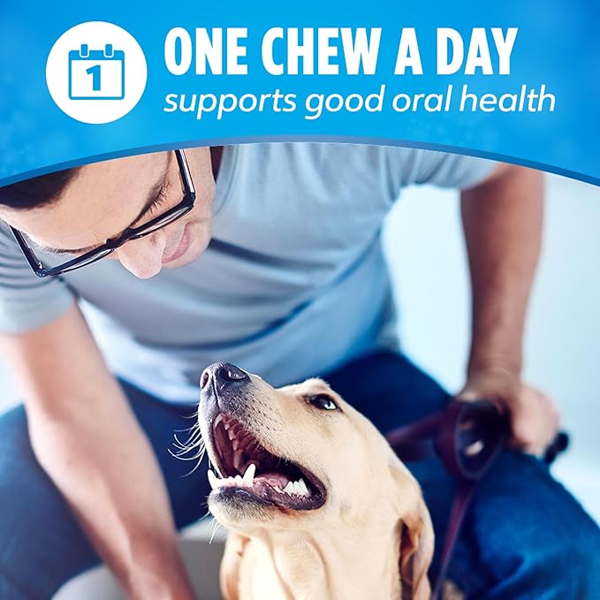 Dentalife Purina Daily Oral Care Large Dog Dental Chews Multipack - 30 ct. Pouches,(Pack of 4)