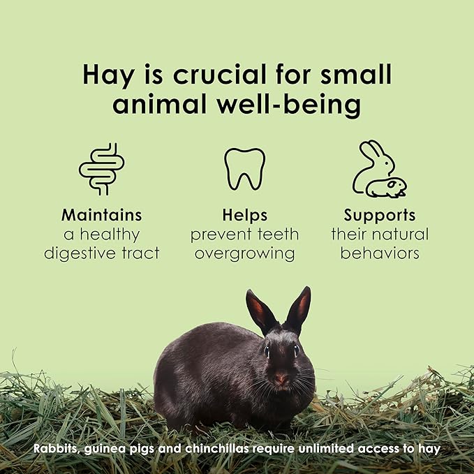 Kaytee Timothy Hay Blend Cubes for Pet Rabbits, Guinea Pigs, Chinchillas, and Other Small Animals, 1 Pound