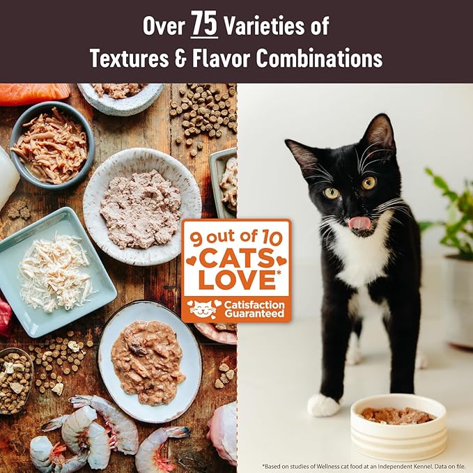 Wellness CORE Tiny Tasters Pate Adult Wet Cat Food, Natural, Protein Rich, Grain Free, Chicken and Turkey Recipe, 1.75 oz, Pack of 12 Pouches