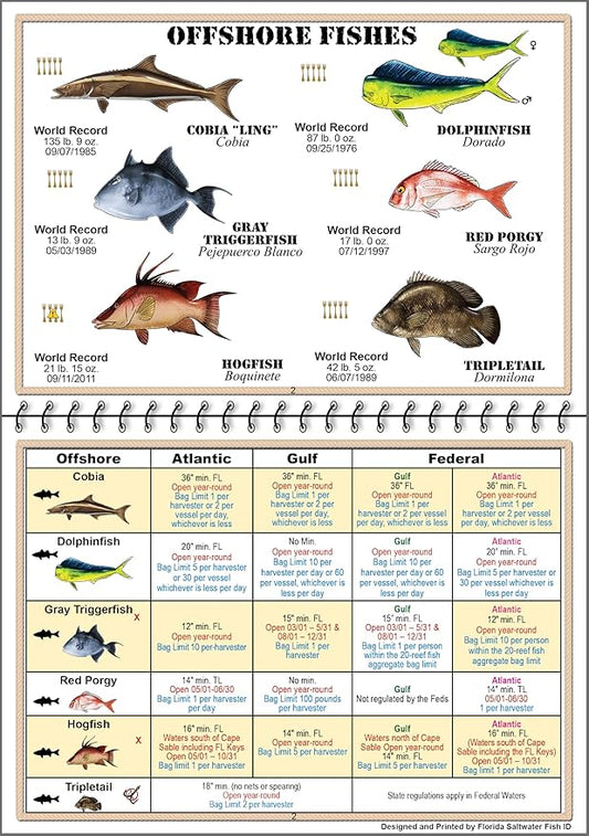 Florida Saltwater Fish Identification Book with FWC Rules, Regulations, Limits, and Sizes with 90+ Marine and Shark Photographs, Waterproof Fishing Guide, Angler and Fishermen Booklet