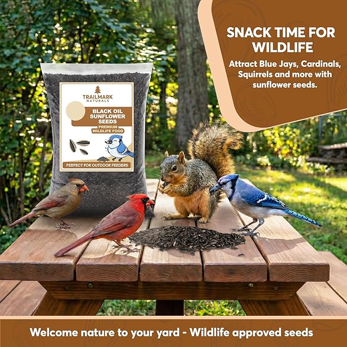10 Pound Black Oil Sunflower Seeds for Birds – Premium Wildlife Food – Non - GMO -Grown in the USA - Black Oil Sunflower Seeds for Wild Animals and Backyard Feeders