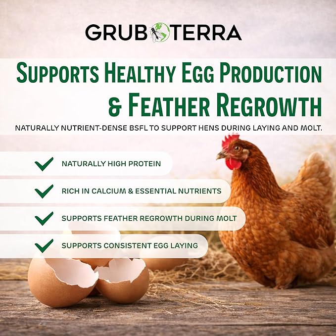 GrubTerra Black Soldier Fly Larvae for Chickens – Dried BSFL Poultry Treat, High Protein Calcium Feed Supplement for Laying Hens, Backyard Chickens, Sourced from Mexico, Not from China - 5LB