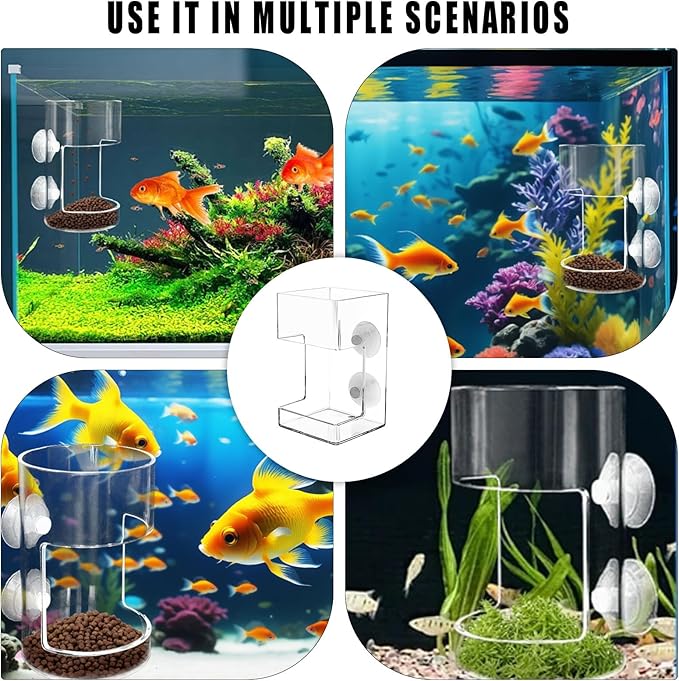 No Mess Aquarium Feeder, Acrylic Clear Fish Tank Feeder with Suction Cup, Preventing Food Scattering Feeding Tray Hollow Floating Sinking Shrimp Food Holders (Round,1)