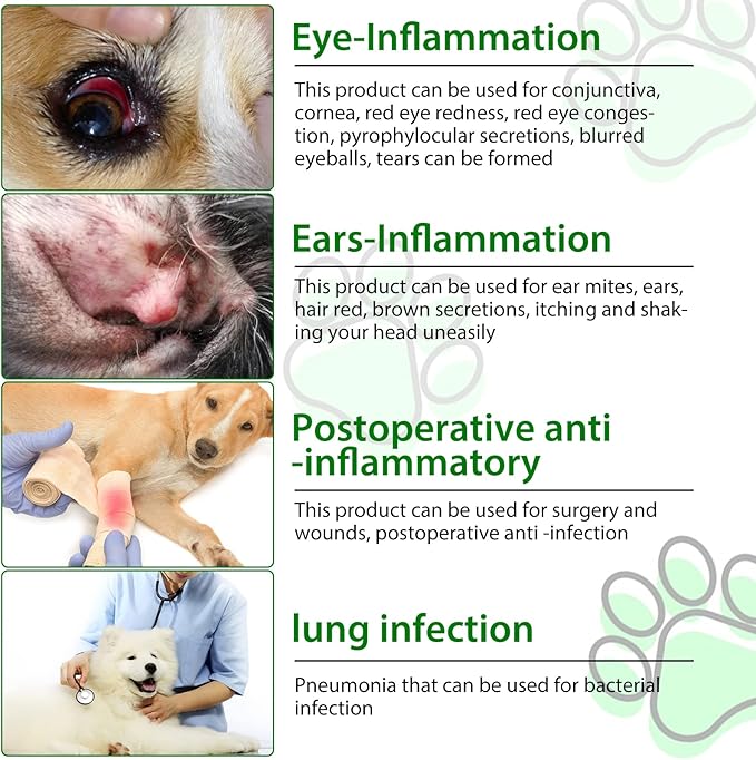Dog Antibiotics Antibiotics for Dogs Dog Eye Infection Treatment Dog Cough Treatment Dog Cough Treatment 2.02fl.oz (60ml)