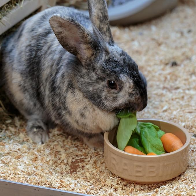 Mason Cash: Cane Rabbit Bowl - 5.2", 13.5oz - Tan Food-Water Feeding Dish, Durable Ceramic Stoneware, Microwave-Dishwasher Safe, Pet Feeding-Hydration