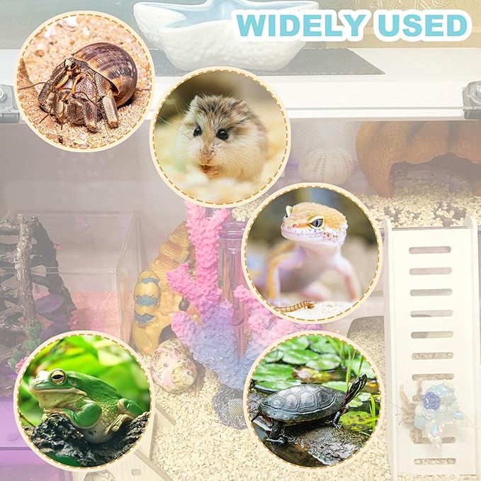 Hermit Crab Accessories - Platform with Ladder and Food Dish, Hermit Crab Climbing Toys, Habitat Supplies and Tank Accessories for Reptiles, Hamsters, Geckos, Small Lizards