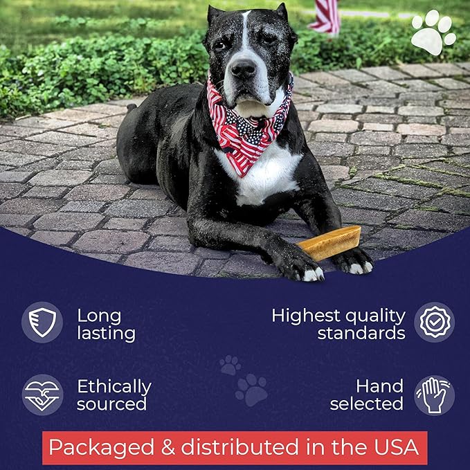 Devil Dog Pet Co. Himalayan Yak Cheese Dog Chews for Medium to Large Breeds & Aggressive Chewers - Long Lasting, Rawhide Free, High Protein - Cleaner Teeth, Anxiety & Boredom Relief - XL