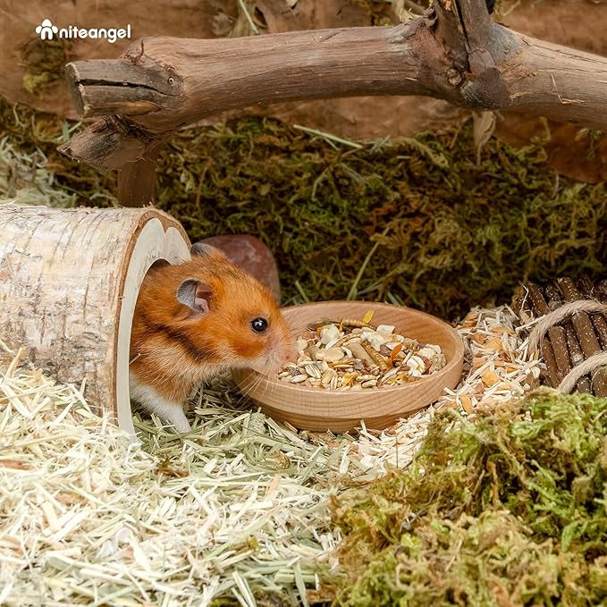 Niteangel Wooden Hamster Feeding Bowl: - Small Animal Food Dish for Dwarf Syrian Hamsters Gerbils Mice Degus or Other Similar-Sized Small Pets (No Pattern, for Syrian)
