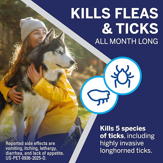 NexGard® (afoxolaner) Flea and Tick Protection for Dogs Oral Soft Beef Flavored Chewables,10.1 to 24 lbs. (Blue Box) 3 Chews (3 Month Supply)