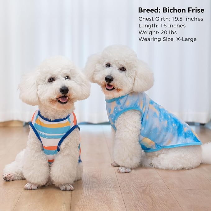 cyeollo 2pack Dog Cooling Shirt, Breathable Sleeveless Summer Clothes for Dogs, Intant Cool Dog T Shirts for Small Dogs, Blue Sky M