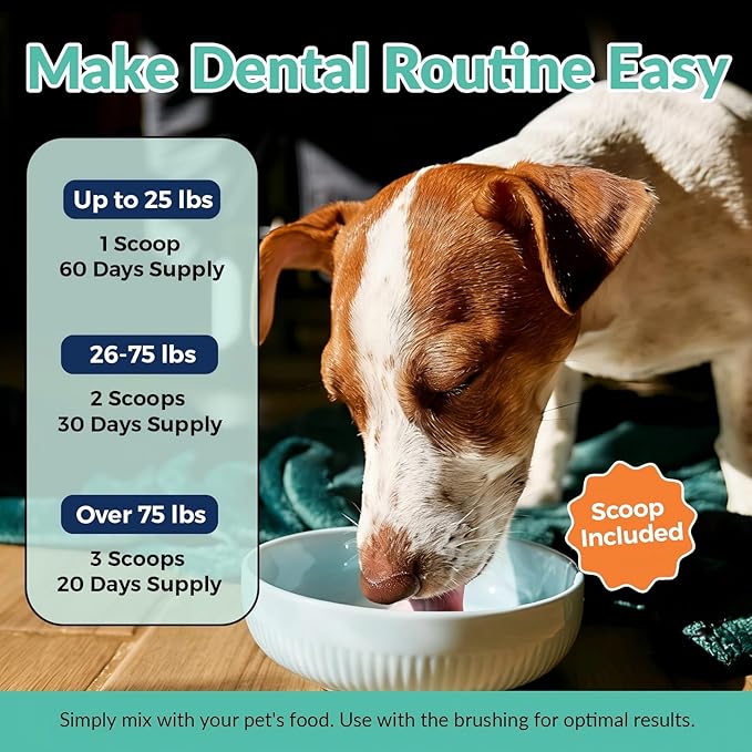 ZEBORA Dog Teeth Cleaning Powder - Dog Breath Freshener Dental Powder, Targets Bad Breath, Plaque Off & Tartar Remover, Natural Dental Care for Healthy Gums, 180g