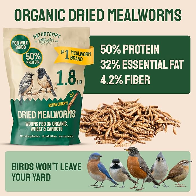Hatortempt Dried Mealworms for Wild Birds - 1.8 Lb Bag - Non-GMO Bluebird Food - High-Protein Meal Worms for Blue Birds, Robins and Chickadees