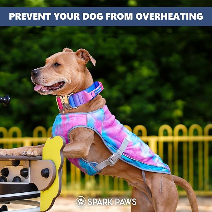 Spark Paws Dog Cooling Vest - SPF 50 UV Sun Protection - Summer Heat Relief Gear for Dogs, Lightweight, Evaporative Cooling - Dog Anxiety Relief Vest During Hot Days - Snowcone, 3XL