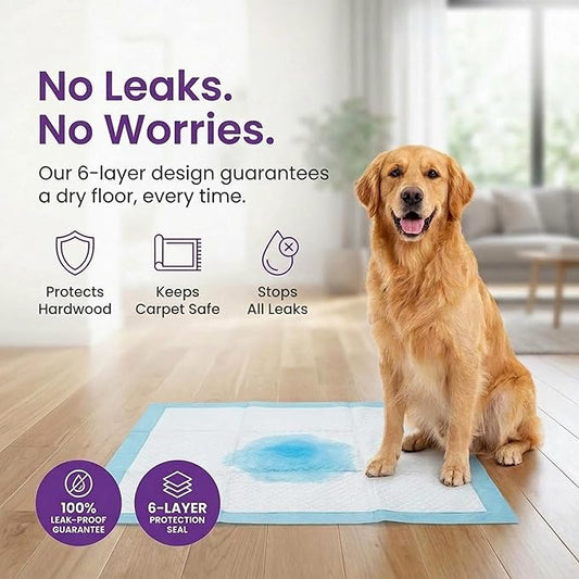 BV Puppy Pads XL 40 Count 34"x28" - Leak-Proof Pee Pads for Dogs with 6-Layer Design, Rapid Dry Sheet & Attractant - Dog Pad Extra Large with Odor Control - Perfect for Big Dogs & Indoor Use