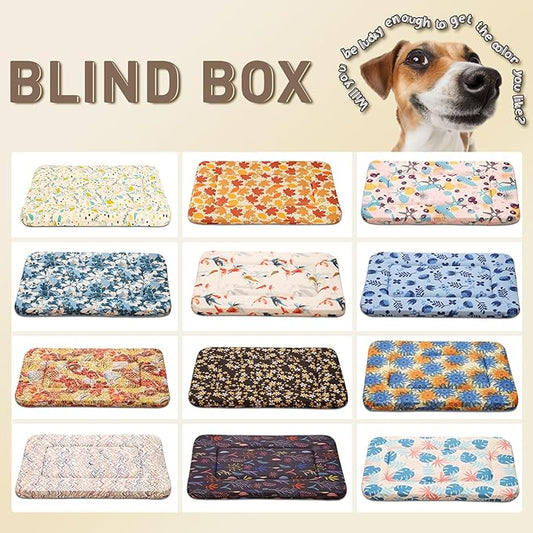Magic Dog Super Soft Random Color Small Dog Bed, 24-Inch x 16-Inch x 1.2-Inch, Machine Washable, Ideal for Small Dogs and Cats, Pancake Style Mat, Cotton Material, Sewn Construction