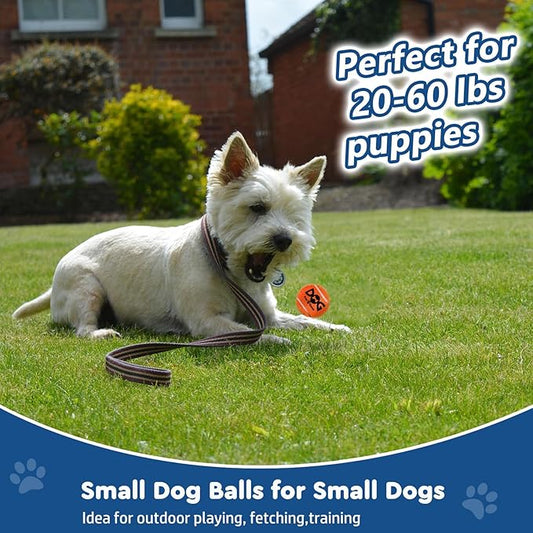 INSUM Small Tennis Balls for Dogs - 12 Pack 2.0" Squeaky Dog Balls for Small Breed, SGS Certified Non-Toxic, Interactive Fetch Toys, Perfect for Outdoor & Indoor Play