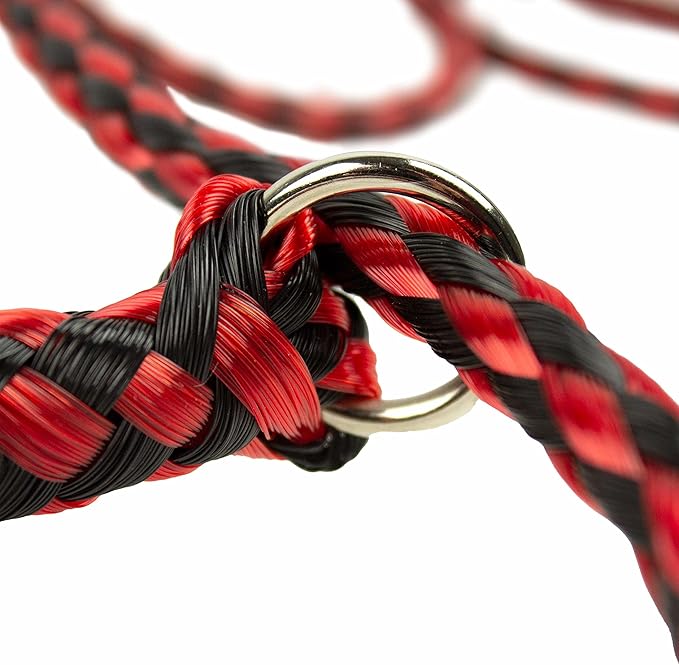 Downtown Pet Supply Braided Poly Slip Lead Dog Leash, 6 Pack, 5' Long - Universal Dog Leash with Metal O Ring - Durable for Groomers, Shelters, Rescues, Vets, or Doggy Daycares