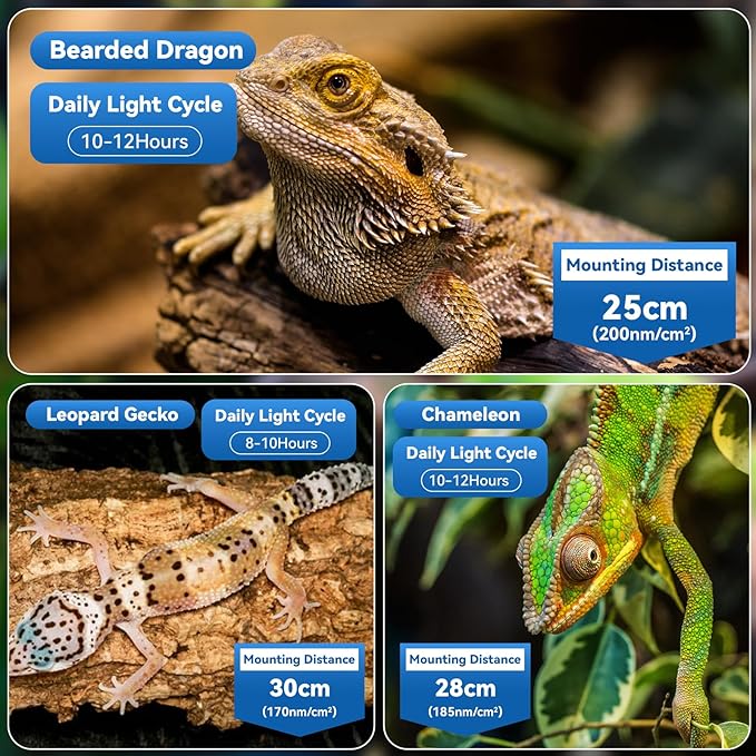 UVA UVB Reptile Light,15Inch Full Spectrum LED Reptile UVB Lamp for Bearded Dragons,Turtles,Geckos,Chameleons,Lizards,Snakes,12000H Long Lifespan Adjustable Timer Calcium Absorption Lamp for Terrarium