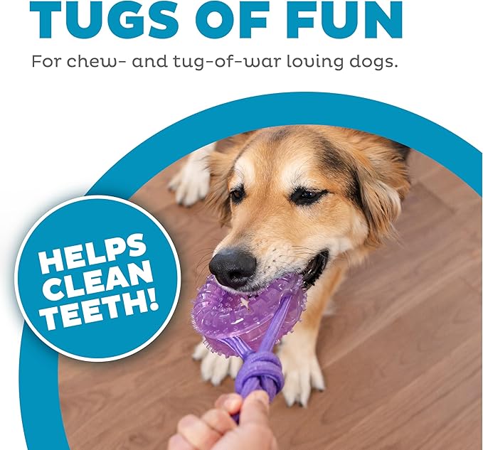Dental Chew Wheel Dog Toy, Ring & Rope Tug, Multi-Textured, Soft on Teeth, Moderate Chewers, Mint Scented, 9"