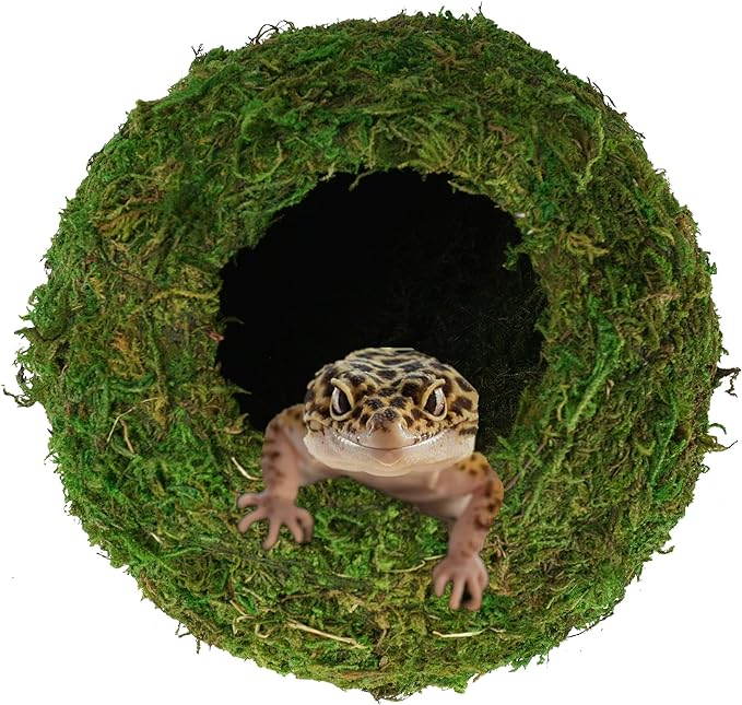 USMOLA Mossy Caves, Artificial Green Moss Caves Hide for Pet Reptile Frogs and Snakes, Terrarium & Vivarium Decor, Crested Gecko Tank Decor (6" - Woodland Green)