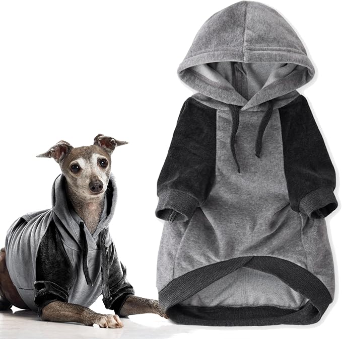 Pet Passion Cooper II Organic Cotton Velour Dog Hoodie Pet Coat for Small, Medium and Large Dogs, Heather Gray Color Block, XX-Small (4-7 lbs)