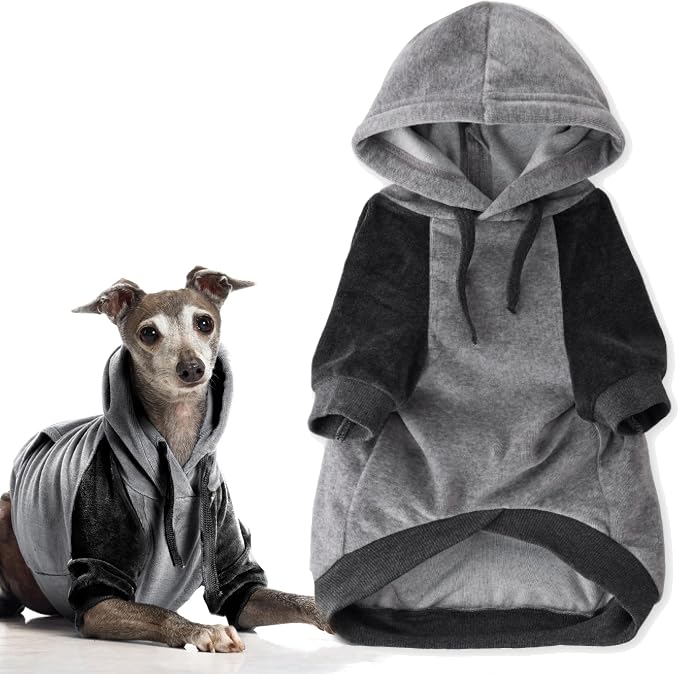 Pet Passion Cooper II Organic Cotton Velour Dog Hoodie Pet Coat for Small, Medium and Large Dogs, Heather Gray Color Block, X-Small (5-12 lbs)