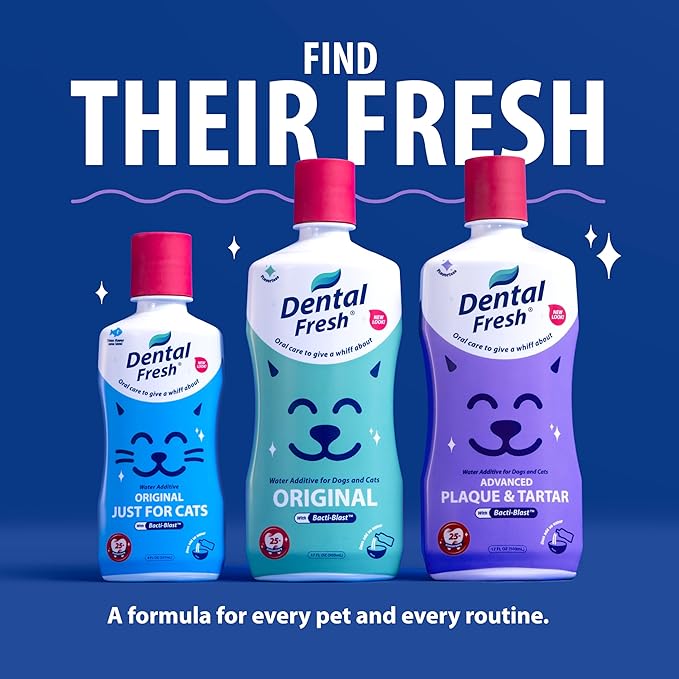 Dental Fresh Water Additive for Dogs and Cats, Advanced Formula, 8 Fl Oz, Plaque & Tartar Daily Oral Care Just Add to Water