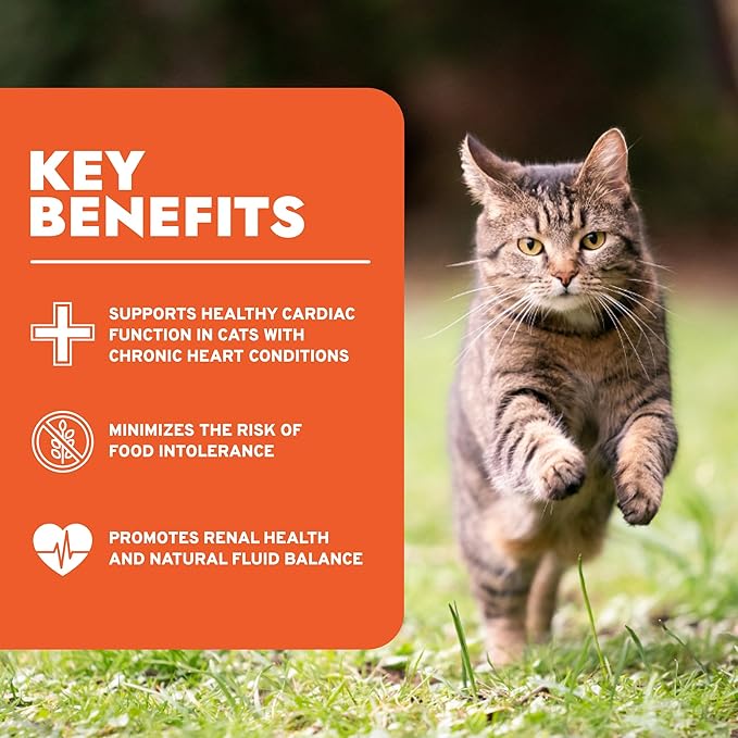 Forza10 - Cat Food, Vet-Apoorved Pet Food for Kidney Support, Non-GMO, Fish Flavor, Crafted for Adults, Made in Italy (0.88 lb)