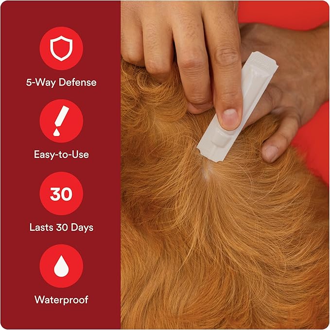 Advecta Ultra Flea and Tick Prevention for Dogs - Small Dog Flea and Tick Treatment & Control - Mosquito Repellent - Fast Acting Waterproof Topical Drops, 2 Month Supply