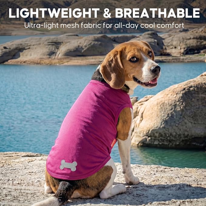 KYEESE 2Pack Dog Shirt, Lightweight Sun Protection Dog T Shirts for Small Dogs Girl, Breathable Mesh Tank Top Sleeveless Pet Reflective Vest, Soft Summer Dogs Clothes, Strawberry+Rose Red, L