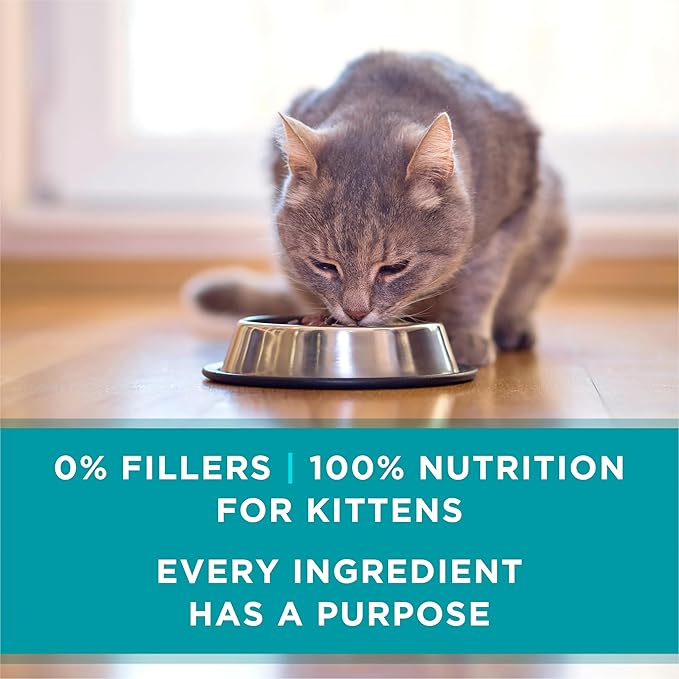 Purina ONE Grain Free, Natural Pate Wet Kitten Food, Healthy Kitten Chicken & Salmon Recipe - (Pack of 24) 3 oz. Pull-Top Cans