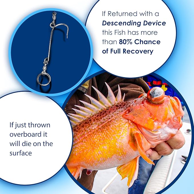 fish descending return device - 2 Pack- Compact & reliable release device built for long life. No mechanical release to fail. Great for red snapper. Unlike venting tools NOAA preferred.