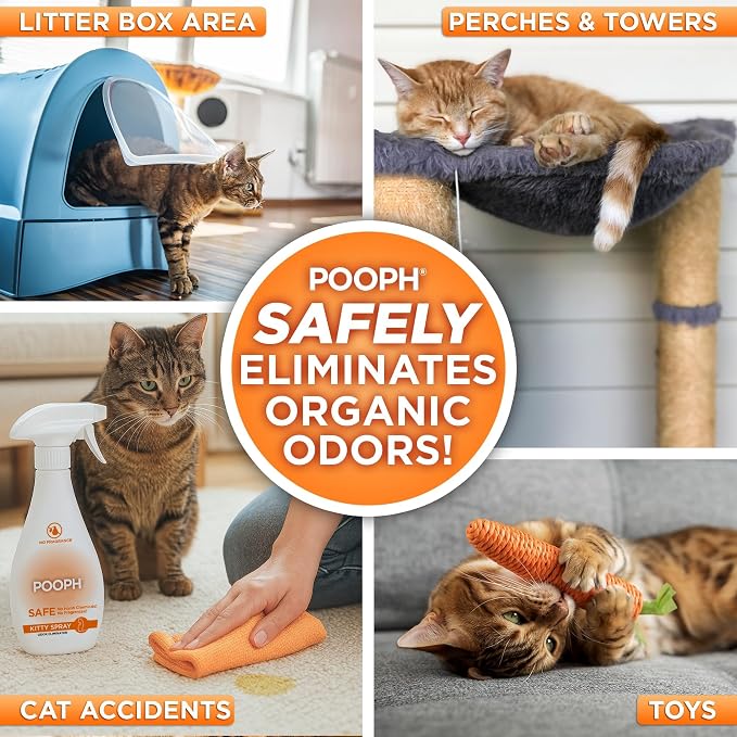 POOPH Kitty Spray - Odor Eliminator 16oz - Dismantles Odors on a Molecular Basis - Cats, Freshener, Eliminator, Urine, Poop, Pee, Deodorizer, Fresh, Clean, Furniture, Potty, Safe