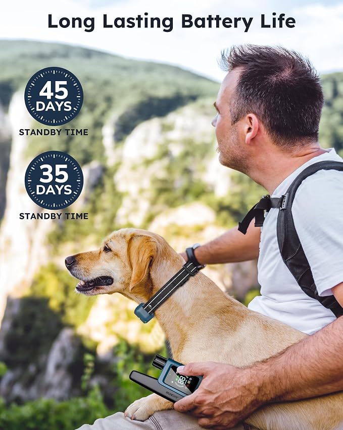 Shock Collar for 2 Dogs - 4200FT Dog Training Collar with Remote IPX7 Waterproof Electric Collar with 4 Training Modes, Security Lock E-Collar for Large Medium Small Breeds(Teal Blue)