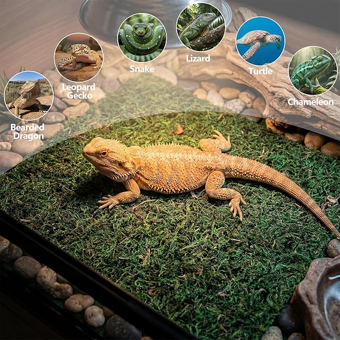 Breling 8 Pcs Reptile Carpet Natural Moss Terrarium Bedding 12'' x 12'' Reptile Habitat Mat Moisture Retaining Substrate Liner for Bearded Dragon Lizard Tortoise Snake Leopard Gecko Tank Accessories