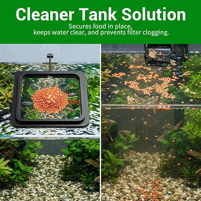 2PCS Fish Feeding Ring, Square and Round Aquarium Feeding Ring with Suction Cup for Betta Goldfish Guppy Turtle, Floating Fishes Feeder Rings for Fish Tank (Black)
