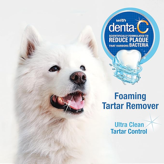 Nylabone Advanced Oral Care Pet Dental Foam Tartar Remover & Breath Freshener for Dogs, Dog Teeth-Cleaning, 4 oz.