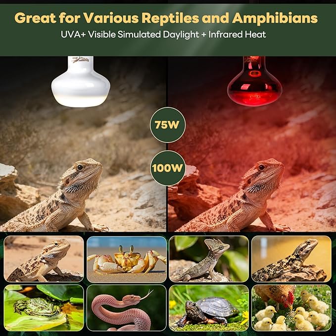Reptile Heat Lamp Bulbs, 2 Pack 75W Reptile Heat Bulbs UVA Daylight Basking Bulb and Infrared Heat Lamp Red Night Light Bulb Combo for Bearded Dragon Chameleon Turtle Snake Gecko Lizard Chicken Tank