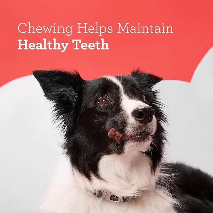 DreamBone Novelty Shaped Chews, Treat Your Dog to a Chew Made with Real Meat and Vegetables