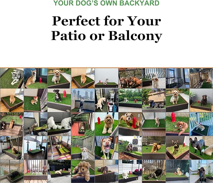 Porch Potty Artificial Grass Potty Pads Without Sprinklers - Standard Size 26x50x7 Reusable Potty Training Pad - Washable Pee Pad for Dogs - Instant Drainage - Quick Absorb - 4x2 Feet Grass Area