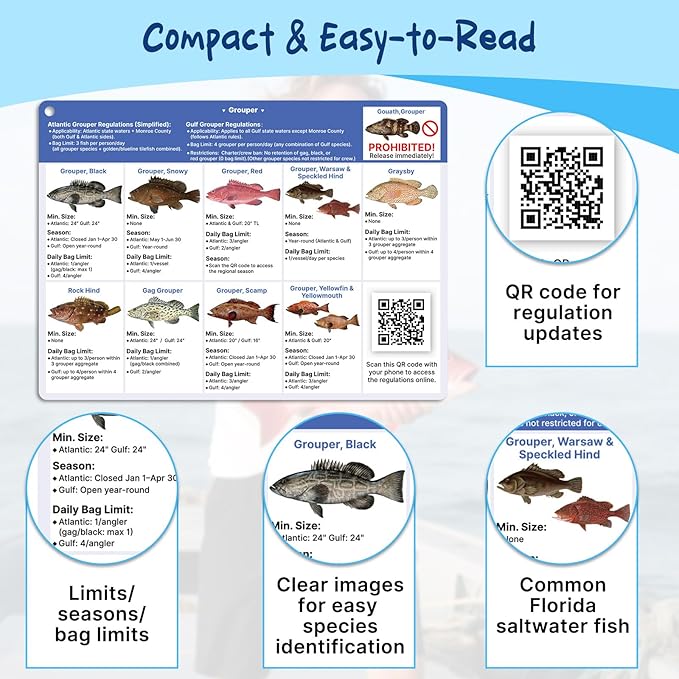 OCQOTAT Florida Saltwater Fish& Shark Identification Set–4 Double-Sided Waterproof Quick-Reference Fishing Guide Cards with FWC Rules,Size Limits&80+ Fish&Sharks in Real Photos| Ring Binding,8.2x6inch