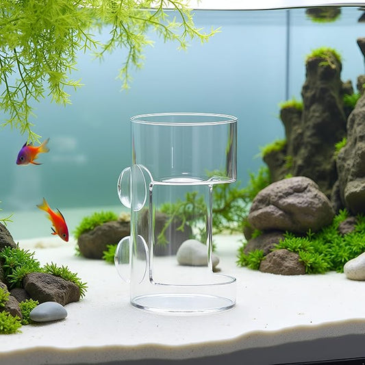 Clear Betta Fish Feeder - Fish Feeding Tube, Shrimp Feeding Dish, Betta Feeders with Suction Cup, Transparent Aquarium Feeders Bird Feeder, Fishs Tank Accessories