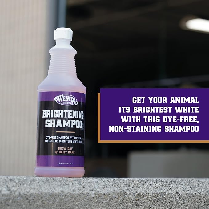 Weaver Livestock Brightening Shampoo for Horses, Pigs, Cattle, Gentle, and Effective, Shampoo with Optical Enhancers, Daily Use Cattle Show Supplies